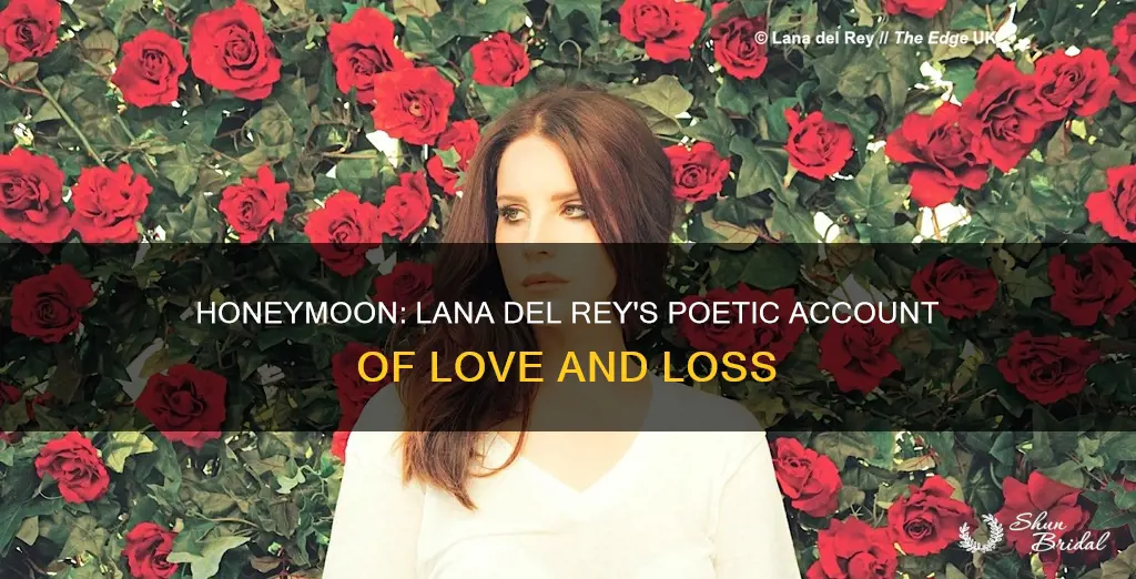 is honeymoon lana del rey