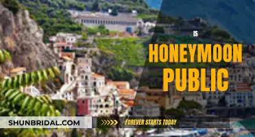 Honeymoon: Public or Private Affair?