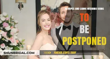 Hopes and Liam's Wedding: Postponed or Happening as Planned?
