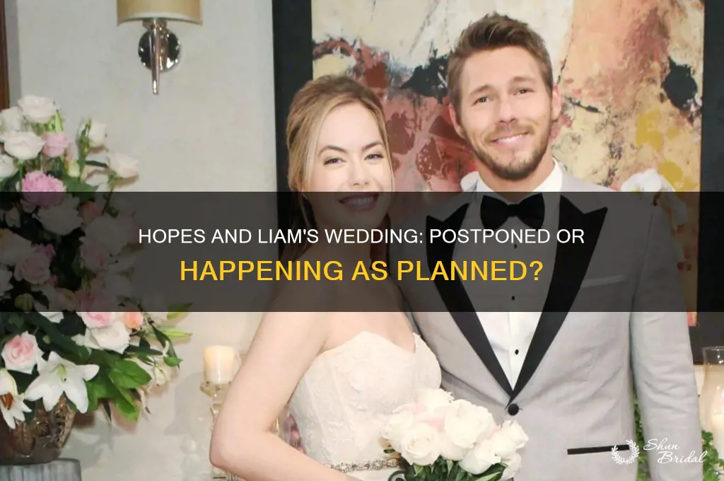 is hopes and liams wedding going to be postponed