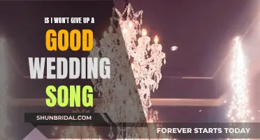 I Won't Give Up": A Perfect Wedding Song Choice