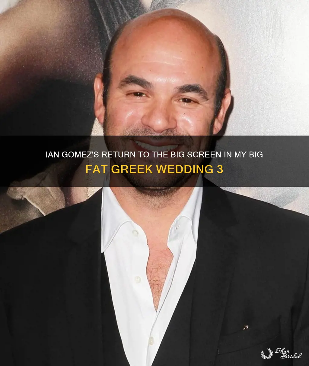 is ian gomez in my big fat greek wedding 3