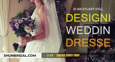 Where is Ian Stuart Now? Wedding Gown Updates