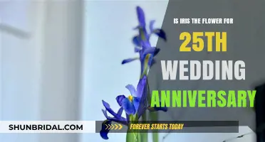 Iris Symbolism: The Perfect 25th Wedding Anniversary Flower Choice?