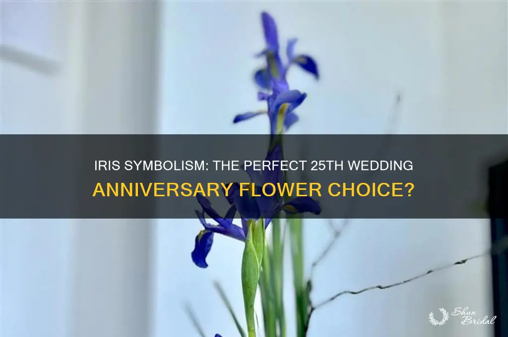 is iris the flower for 25th wedding anniversary