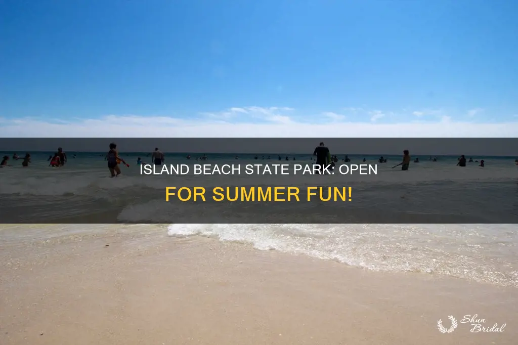 is island beach state park open