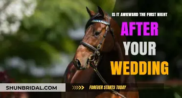 First Night Jitters: Navigating Post-Wedding Awkwardness with Grace and Humor