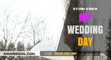 Will Wedding Day Weather Bring Rain? Planning Tips for a Perfect Day