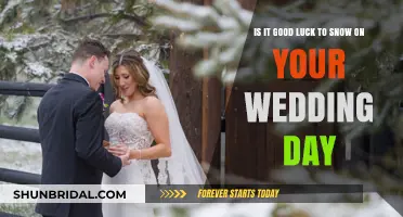 Snowy Nuptials: Unveiling the Lucky Charm of Wedding Day Flakes