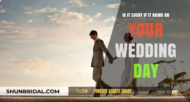 Rain on Your Wedding Day: Superstition, Luck, or Coincidence?