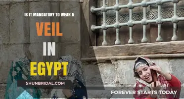 Veil in Egypt: Mandatory or Optional? Exploring Cultural Norms