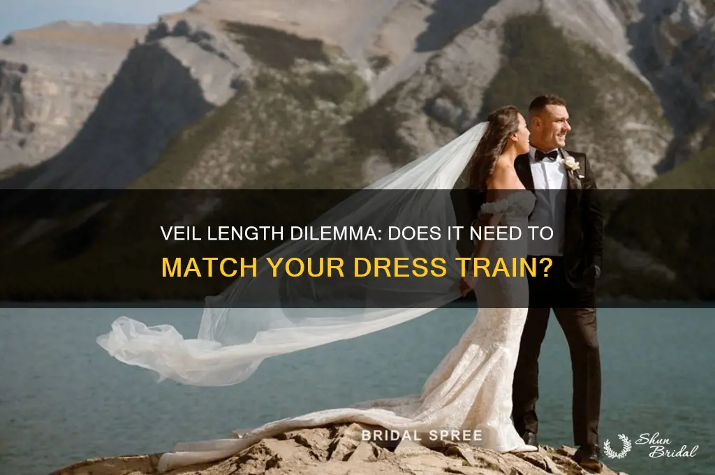 is it ok if veil doesn