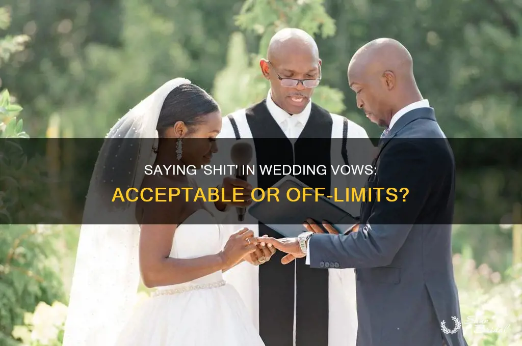 is it okay to say shit in vows