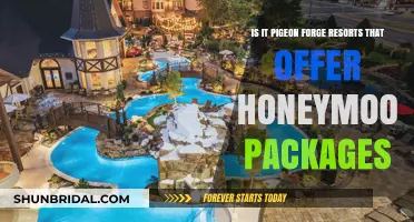 Pigeon Forge Resorts: Honeymoon Packages for Romantic Getaways