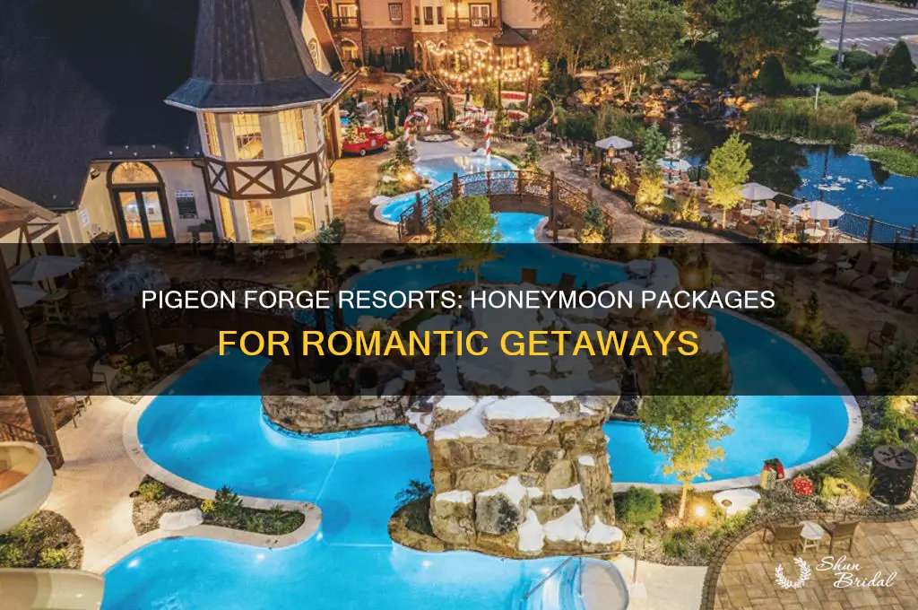 is it pigeon forge resorts that offer honeymoon packages