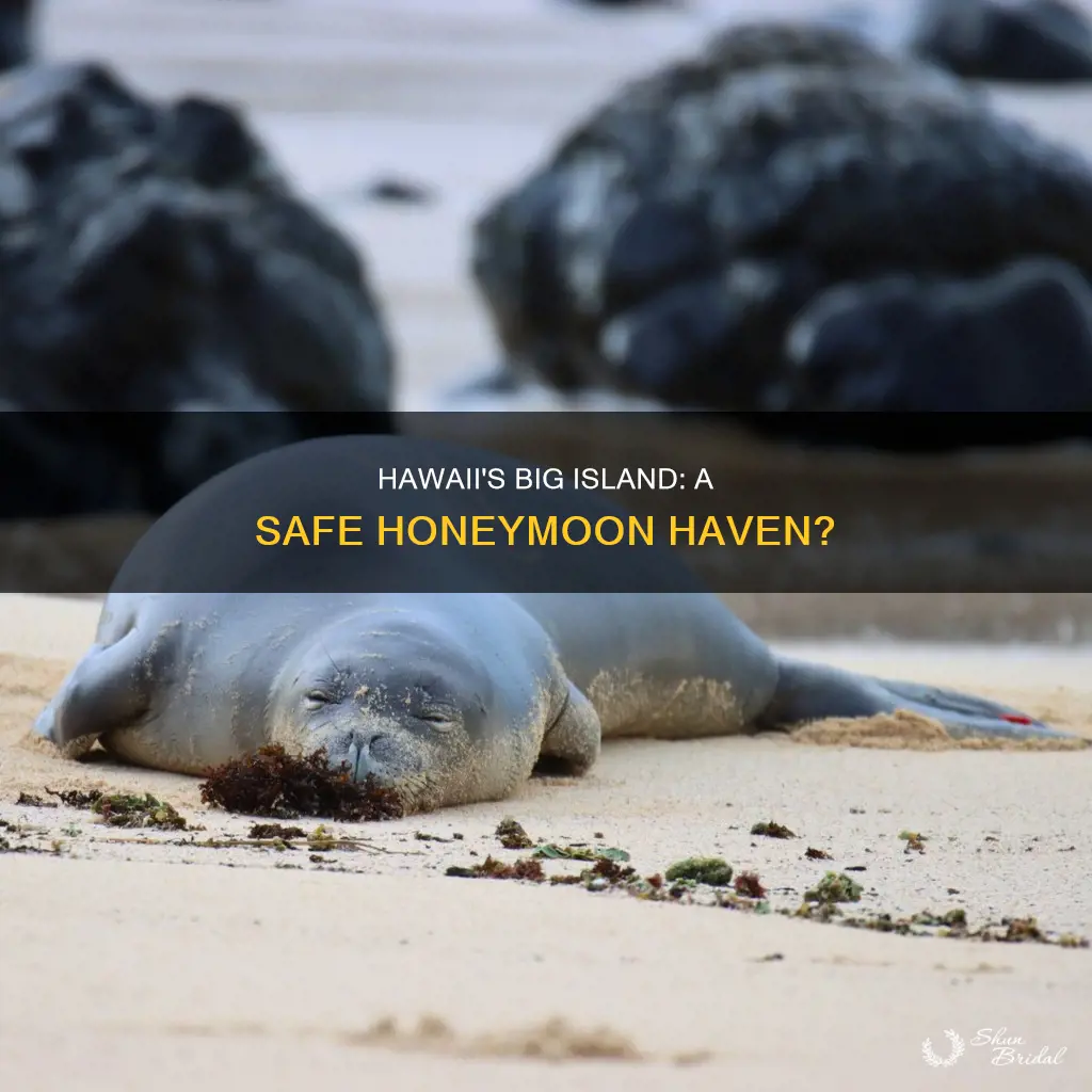 is it safe to honeymoon in hawaii big isald