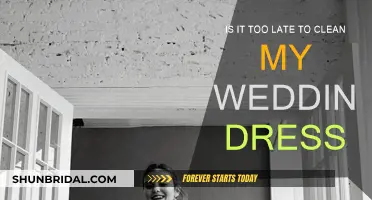 Preserving Your Wedding Dress: Is It Too Late?