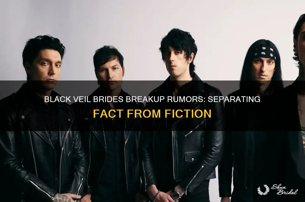 is it true that black veil brides are breaking up