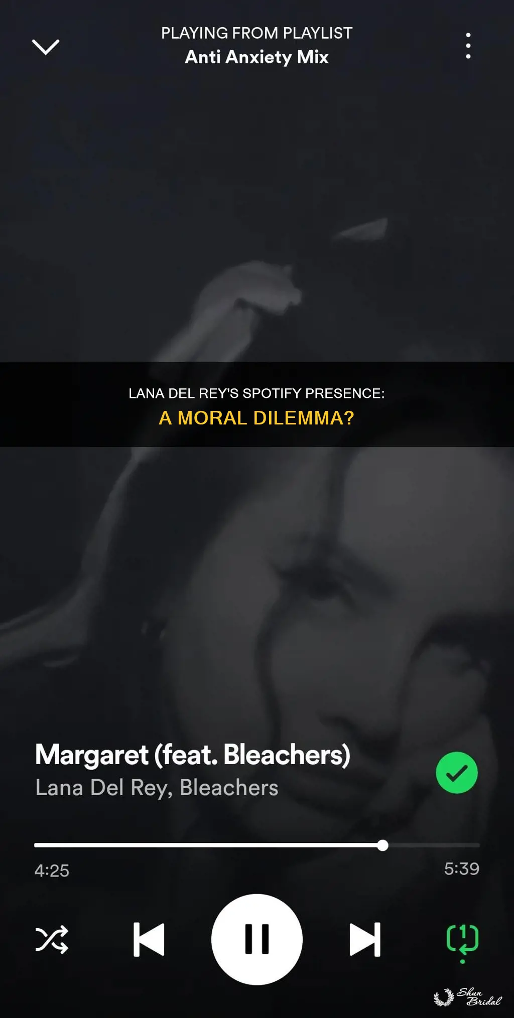 is it wrong lana del rey spotify