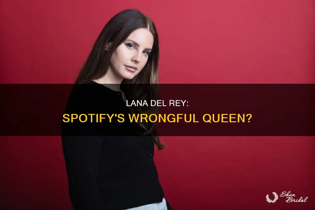 is it wrong lana del rey spotify