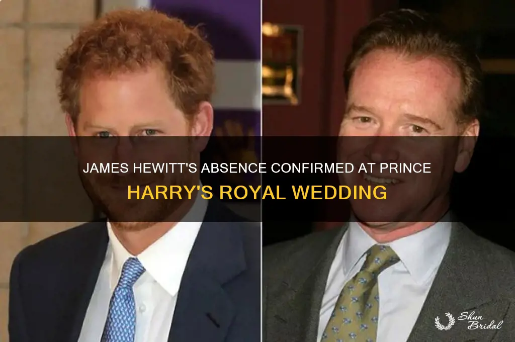 is james hewitt going to harry