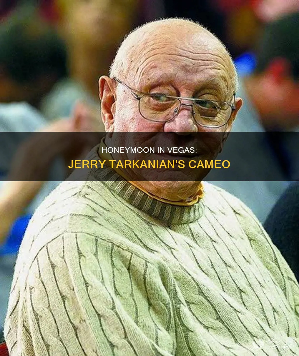 is jerry tarkanian in the movie honeymoon in vegas