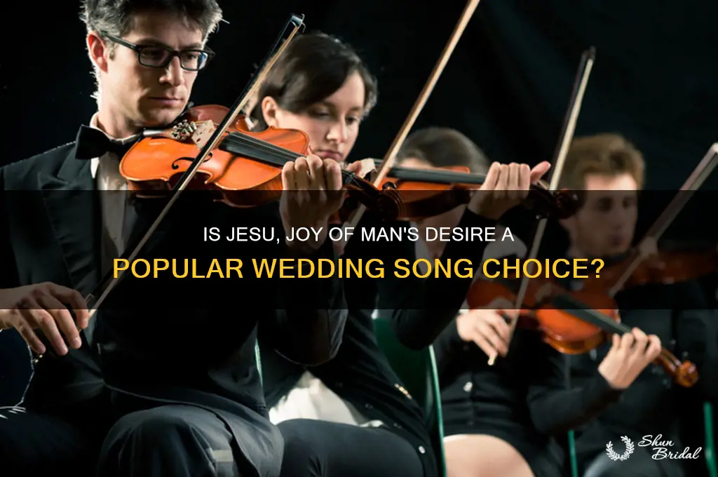 is jesu joy of man
