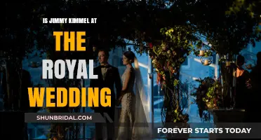 Jimmy Kimmel's Royal Wedding Appearance: Fact or Fiction?