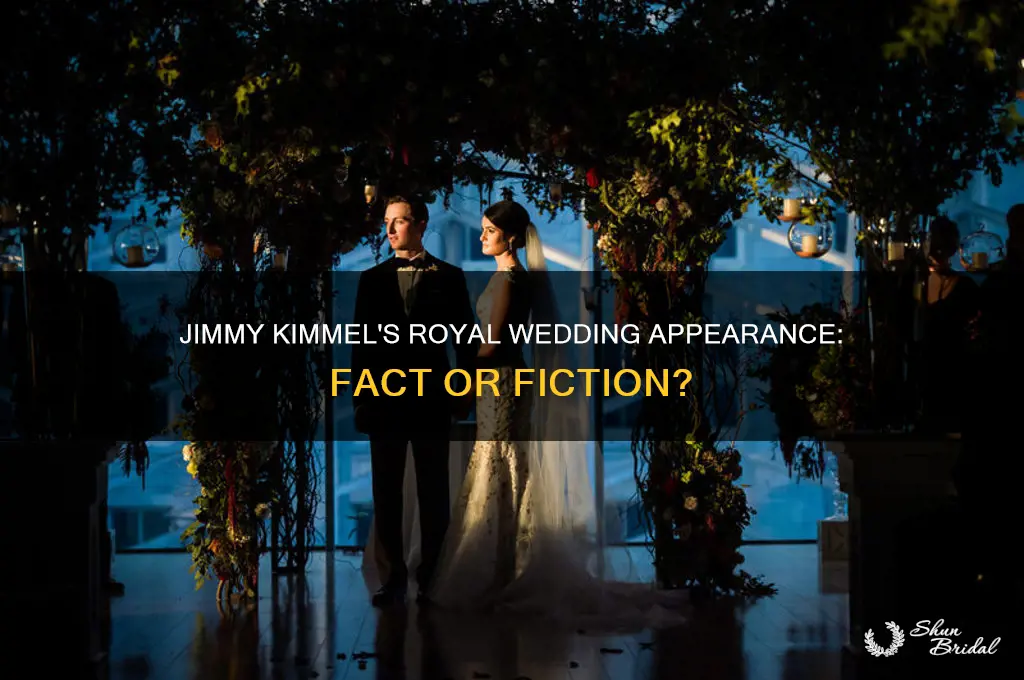 is jimmy kimmel at the royal wedding