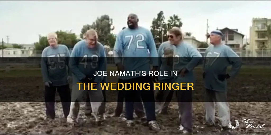 is joe namath in the wedding ringer