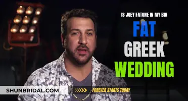 My Big Fat Greek Wedding": Did You Spot Joey Fatone