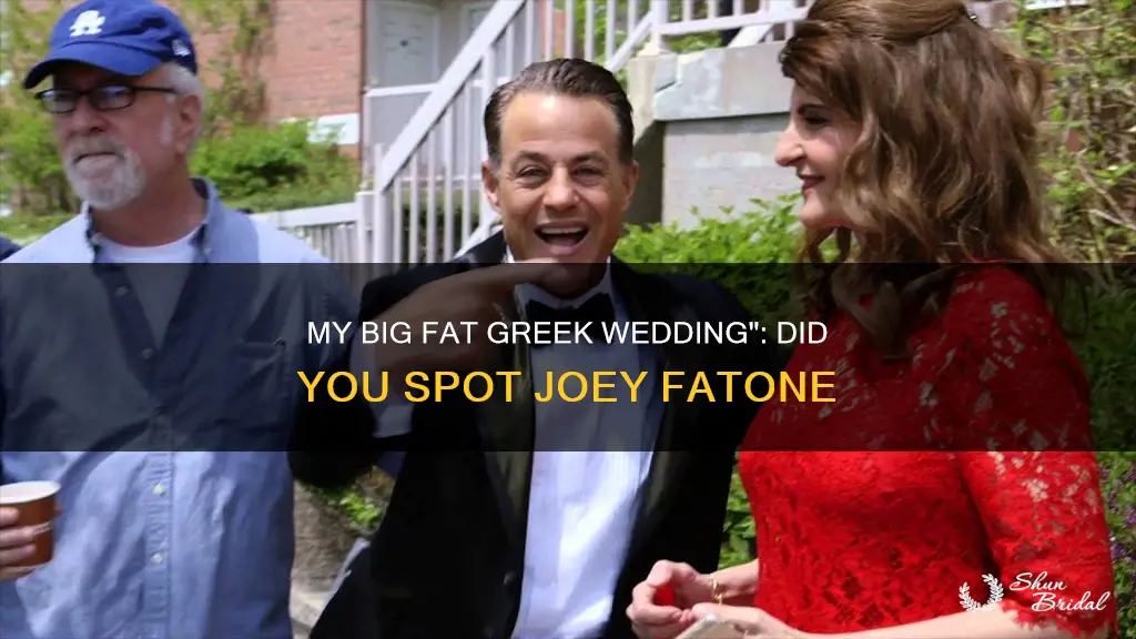 is joey fatone in my big fat greek wedding