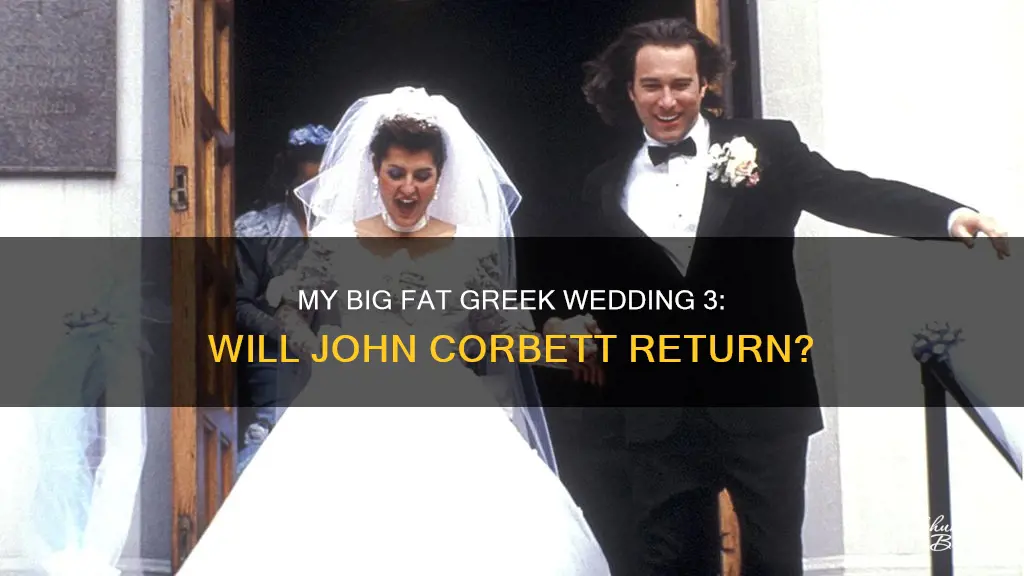 is john corbett in my big fat greek wedding 3