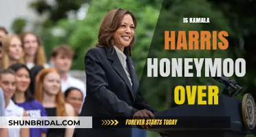 Is Kamala Harris' Political Honeymoon Ending? Analyzing Her Current Standing