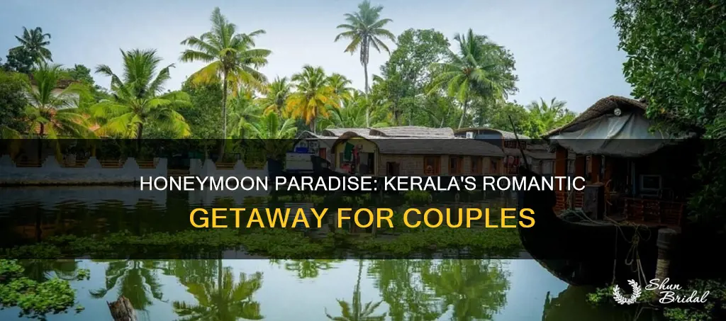 is kerala good for honeymoon