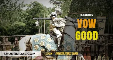 Is Knight's Vow Good? A Critical Review of Its Pros and Cons