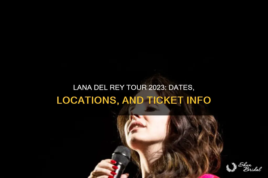 is lana del rey going on tour