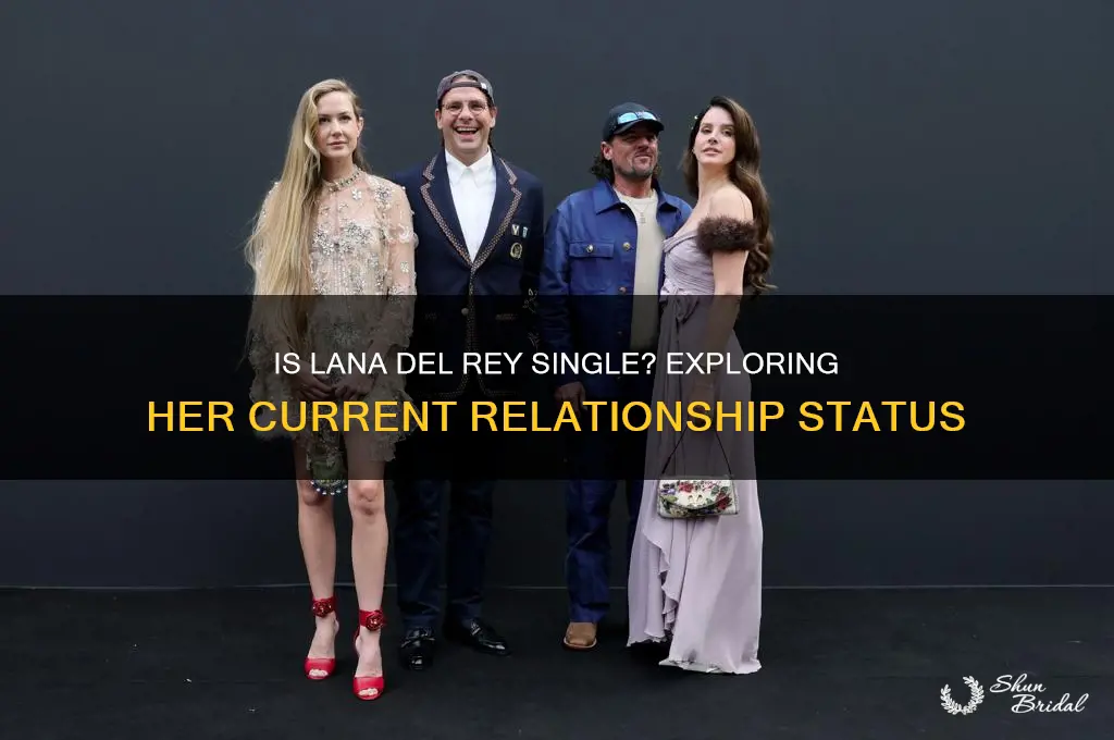is lana del rey single