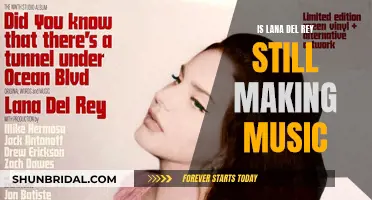 Lana Del Rey's Music Career: What's Next?