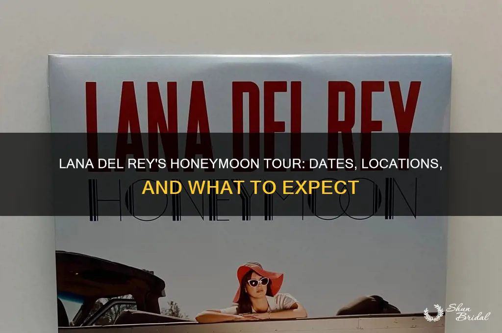 is lana del rey touring for honeymoon