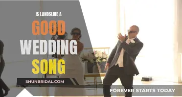 Landslide as a Wedding Song: Good Choice or Not?