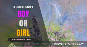 Leslie the Flower: Unraveling the Gender Mystery in Nature