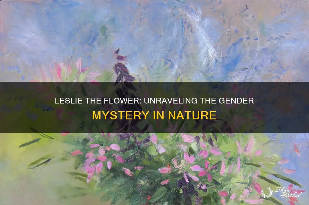 is leslie the flower a boy or girl