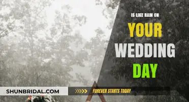 Irony of Rain on Your Wedding Day: Blessing or Unlucky Charm?