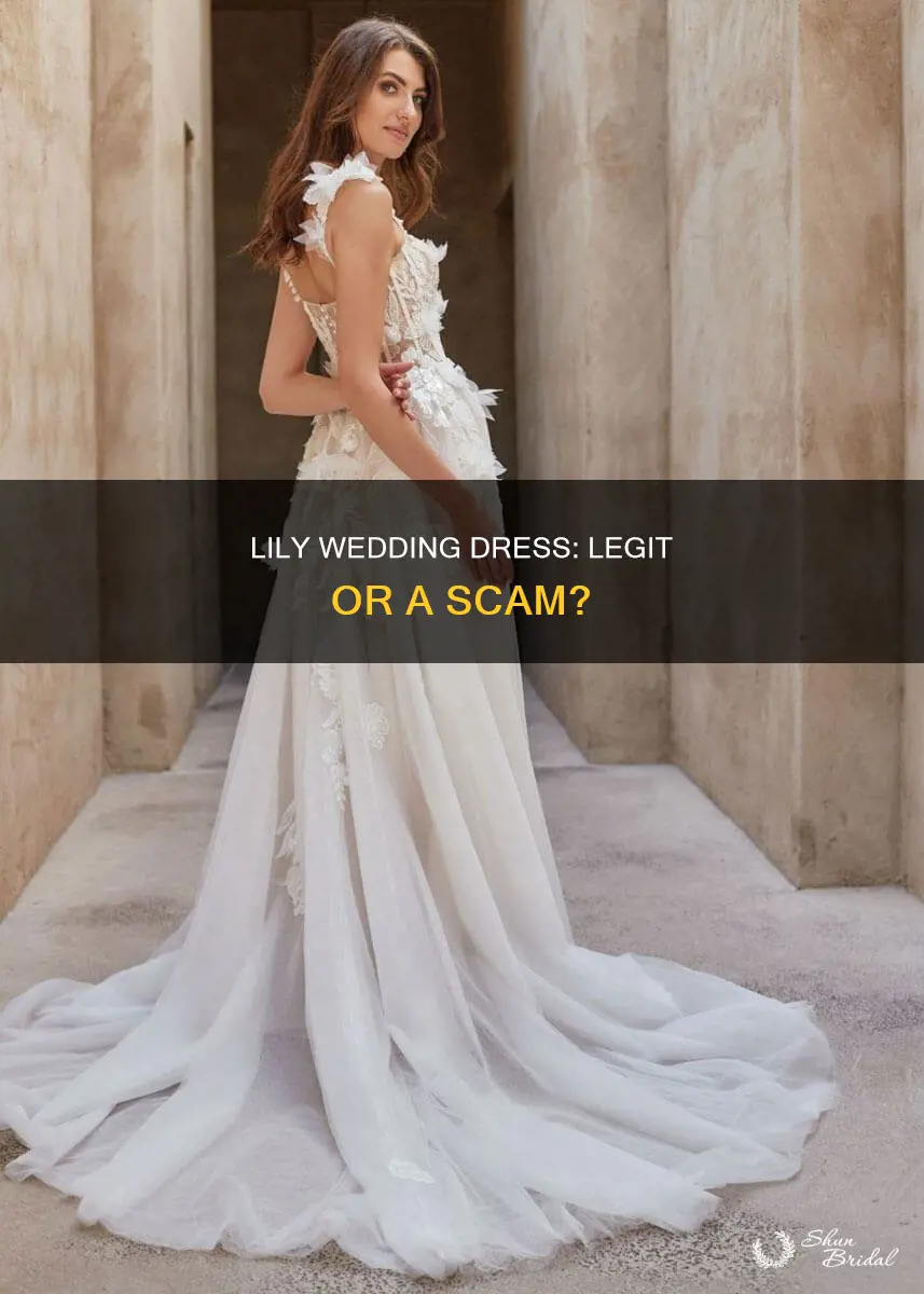 is lily wedding dress legit