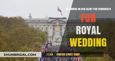 London on Red Alert: Royal Wedding Security Tightens Amid Terror Concerns