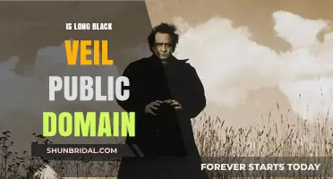 Is 'Long Black Veil' Public Domain? Exploring the Song's Copyright Status