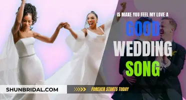 Make You Feel My Love": The Perfect Wedding Song