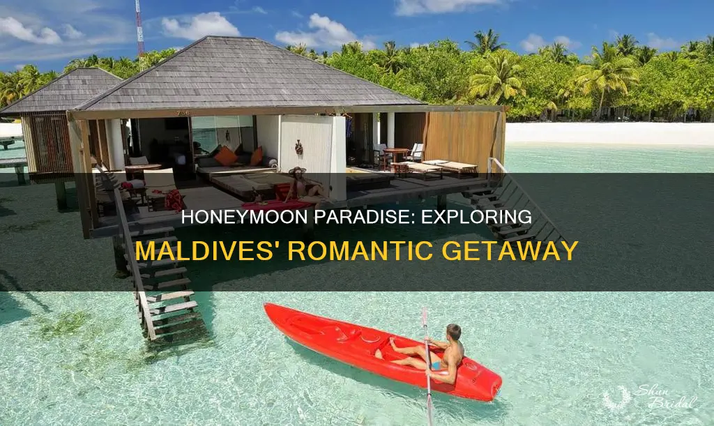 is maldives a good honeymoon destination