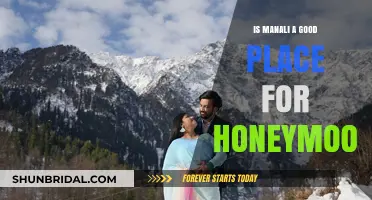 Manali Honeymoon Guide: Romantic Escapes Amidst Himalayan Beauty